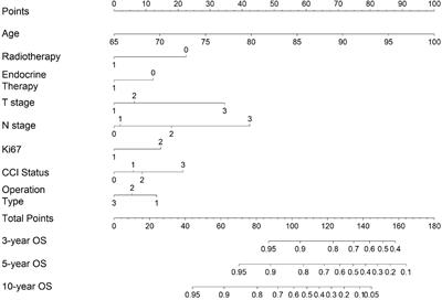 A nomogram for individually predicting overall survival for elderly patients with early breast cancer: a consecutive cohort study